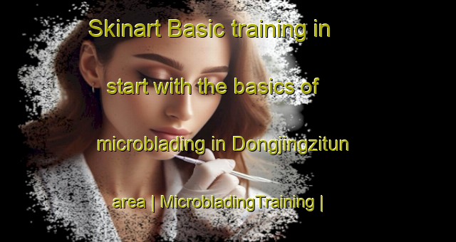 Skinart Basic training in start with the basics of microblading in Dongjingzitun area | MicrobladingTraining | MicrobladingClasses | SkinartTraining-China